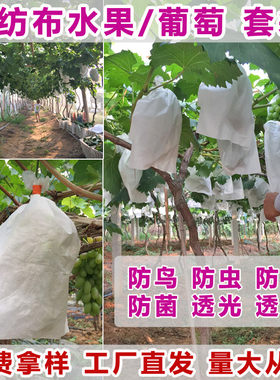 露天无纺布葡萄套袋防虫果蝇