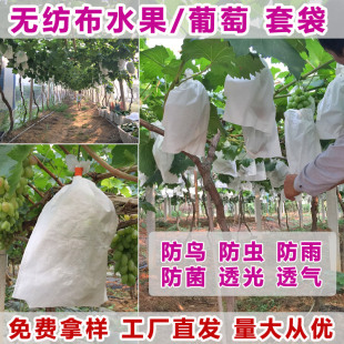 露天无纺布葡萄套袋防水果实育果保护袋防虫鸟果蝇袋莲雾柚梨子