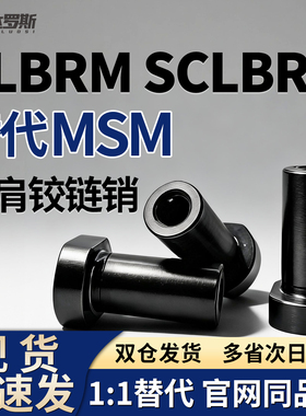 内螺纹带肩铰链销CLBRM SCLBRM6 8 10 12 15 18 20-15 20 25 30