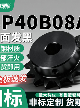 SP40B08A链轮齿轮21 22 23 24 25 25 26 28 30 32 34 35VLF02-40