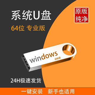 系统u盘电脑重装一键安装机win10纯净正版专业7旗舰w11纯净pe启动