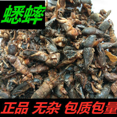 蟋蟀干500g包邮中药材