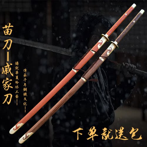 唐武道武术健身训练表演练习