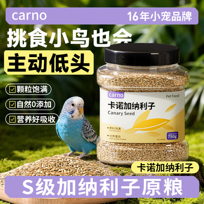 卡诺鹦鹉加纳利子中小型牡丹虎皮玄凤专用油料美羽营养鸟零食饲料
