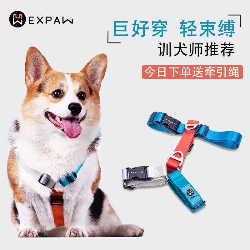 狗狗牵引绳背心式宠物工字h型胸背带柯基遛狗绳子中小型犬