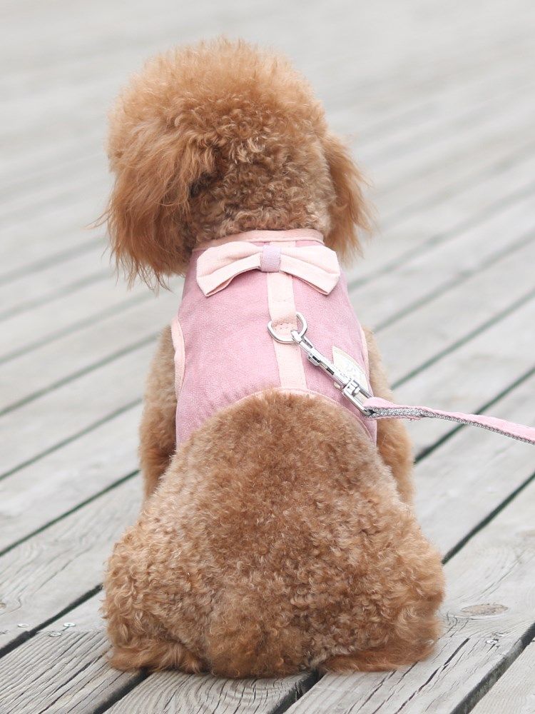 中型小型犬背心式牵引绳狗绳泰迪狗链子遛狗绳宠物胸背带狗用包邮