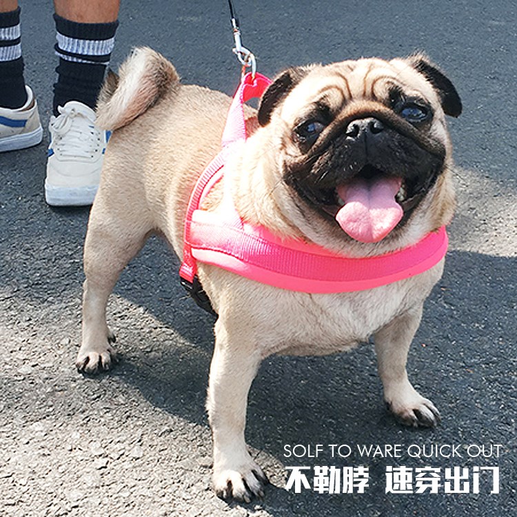 狗狗牵引绳胸背带法斗巴哥柯基拉布拉多中型犬大型犬遛狗绳狗链子