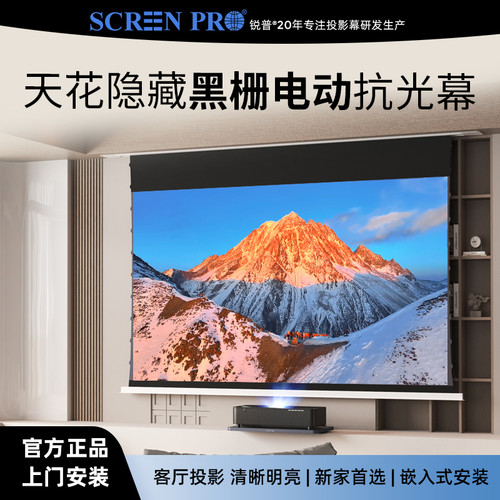 锐普黑栅抗光幕隐藏嵌入式天花幕