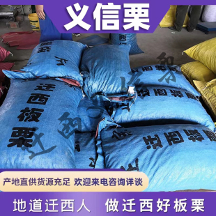 迁西3113板栗上糖早期糖炒用批发炒货新鲜油栗一包起产地直发特惠