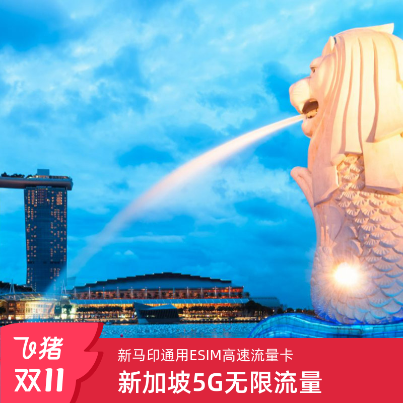 新加坡esim上网卡