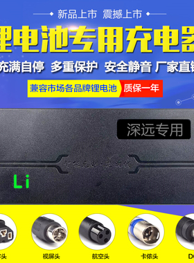 深远锂电池电动车原装充电器24V36V48V2A42V54.6V3A58.8V专用包邮