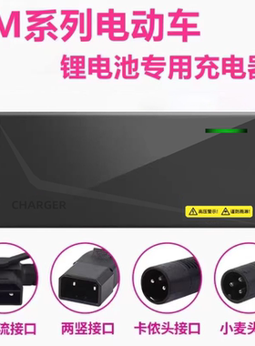 爱玛电动车专用锂电池充电器48V2A卡农头小麦头两竖头大电流专用
