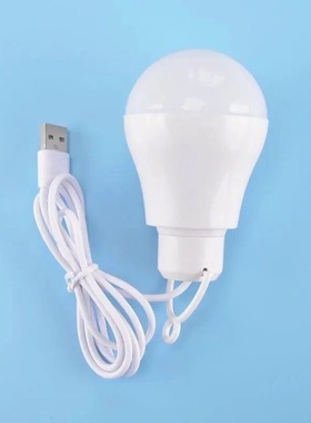包邮 USB灯泡户外应急5vLED球泡灯5w地摊灯数据线led随身灯小夜灯