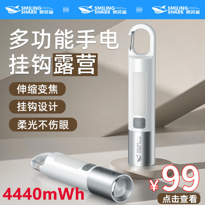 【全网爆款】多功能手电筒