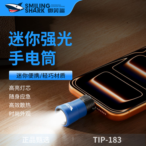 typec供电迷你手电筒外接手机