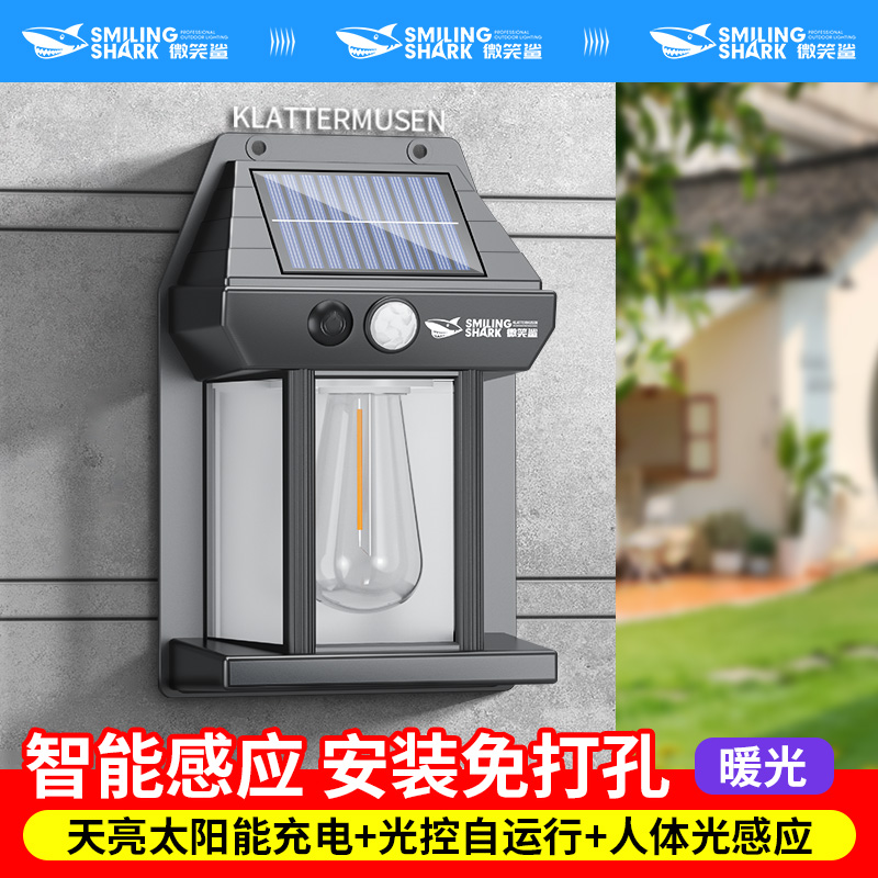 智能光控人过全亮庭院灯