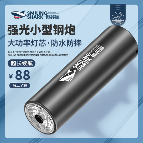 小型便携超轻应急小手电