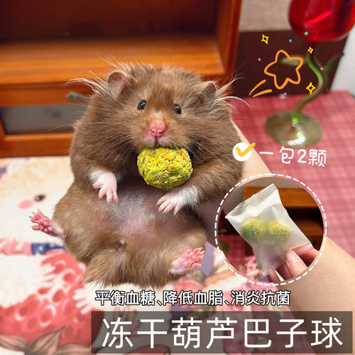 【DKJESSI】葫芦巴子冻干仓鼠金丝熊零食降血糖预防上火花枝鼠