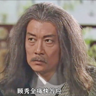 术数大师神算子顾全秀同款假发曲蓬松直播短视频剧场表演节目道具