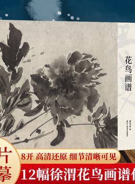 湖山画谱 徐渭花鸟画谱 单片散装/册页立轴兼有/散页盒装高清还原/可临摹鉴赏装饰收藏 徐渭花鸟画册页精选国画临摹卡书籍正版