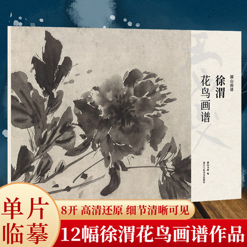 湖山画谱 徐渭花鸟画谱 单片散装/册页立轴兼有/散页盒装高清还原/可临摹鉴赏装饰收藏 徐渭花鸟画册页精选国画临摹卡书籍正版