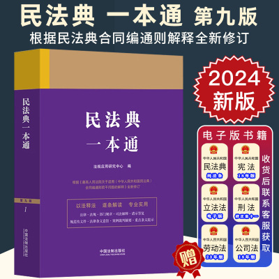 2025适用民法典一本通 第九版9版 根据民法典合同编通则解释全新修订 以法释法逐条解读 专业实用 典型案例 法制社 9787521631555