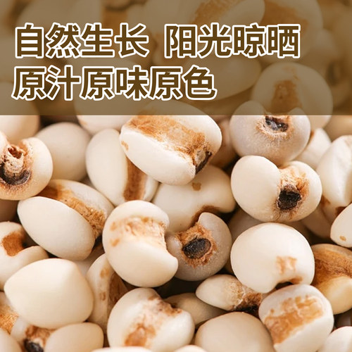 塞尚香杂粮软糯清香生态种植