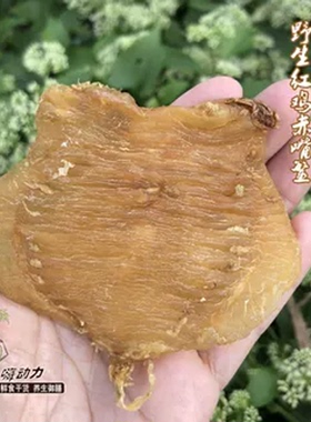 嗨动力野生红鸡赤嘴鳘鱼胶公母深海孕妇备孕月子滋补花胶干货正品