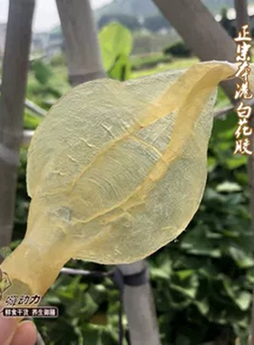 嗨动力正宗本港白花胶干货 月子贵妇胶养颜溪沃红沃白莲鱼胶正品