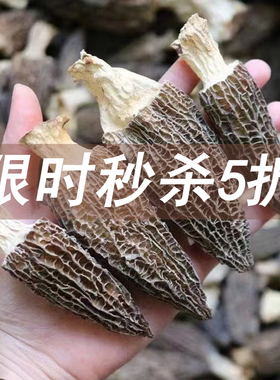 嗨动力羊肚菌云南正宗干货非即食 剪柄特级羊肚菇蘑菇煲汤料50g