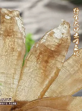 嗨动力大口赤嘴鱼胶 天然印尼小白花胶深海野生鳘鱼胶干货正品50g