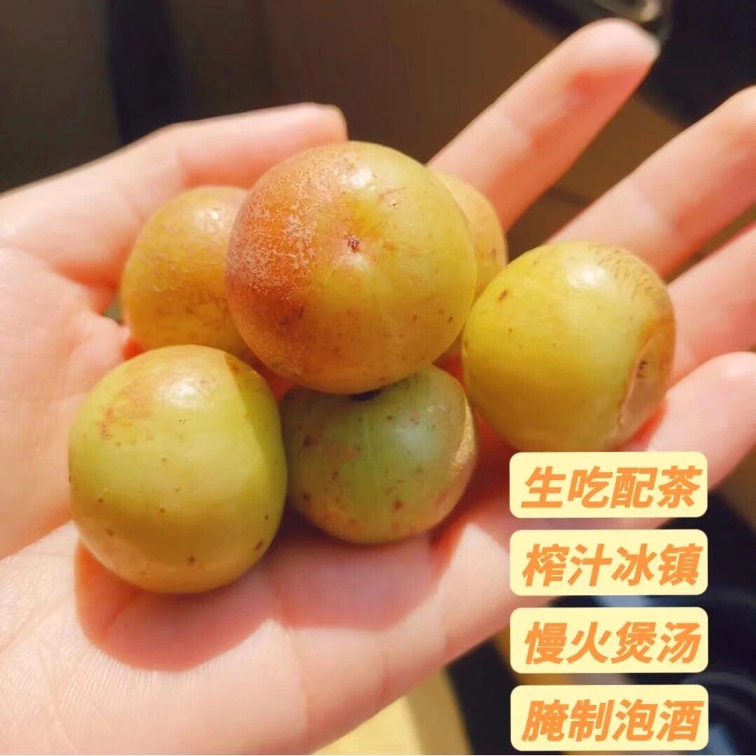 潮汕油柑王新鲜柿饼甜油甘果甜种油甘余甘果孕妇水果丙奈雪榨汁,水产肉类/新鲜蔬果/熟食,油甘果,淘宝优惠券,粉丝福利购,淘宝优惠卷