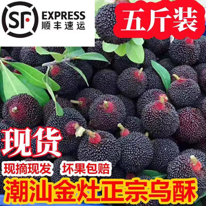现摘现发潮汕杨梅之王乌酥杨梅酥核吊蒂乌苏新鲜小粒酥金灶正宗