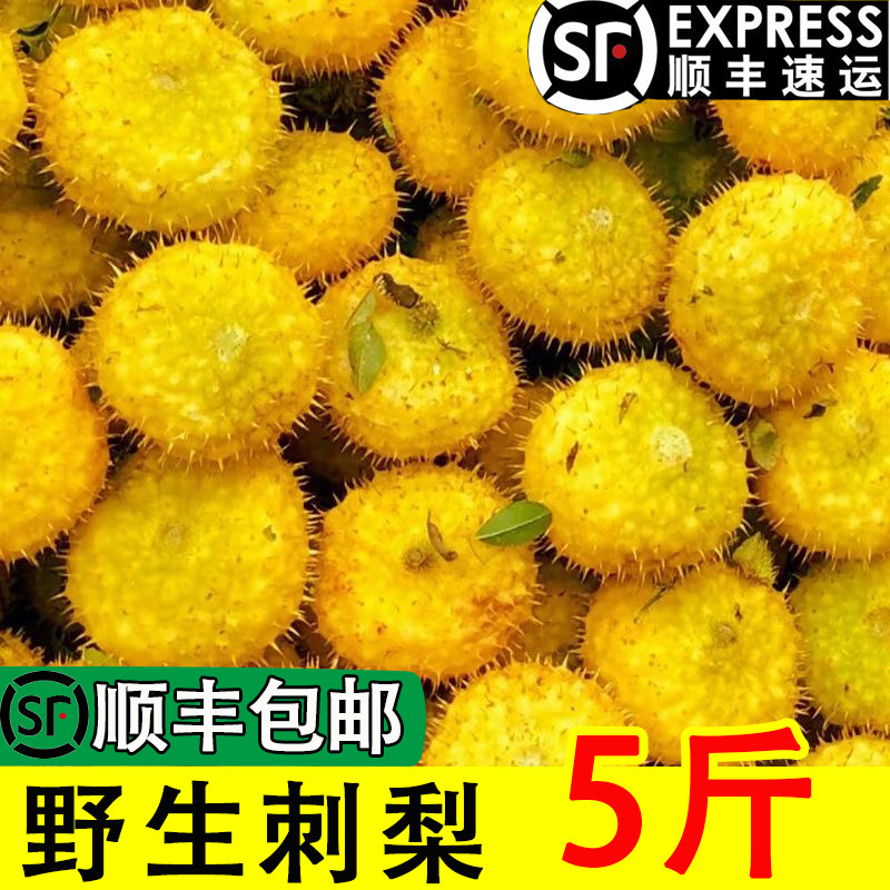 现摘野生刺梨新鲜农家水果特产榨汁生吃泡酒鲜果5斤顺丰包邮