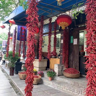 袁家村辣椒干陕西特产红辣椒凤翔秦椒干辣椒农家线线辣子无把秦椒