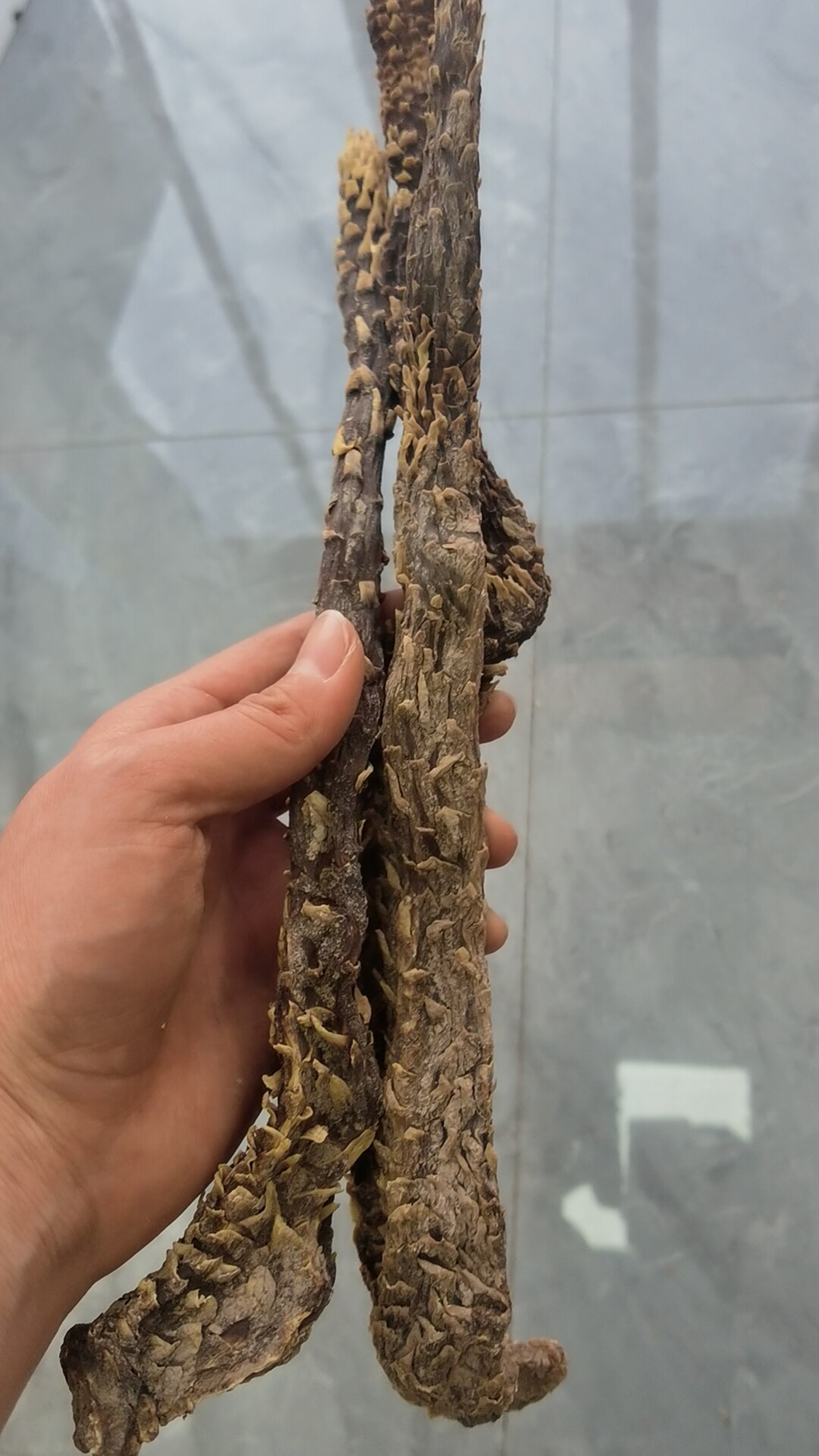 新疆肉苁蓉大芸肉苁蓉500g