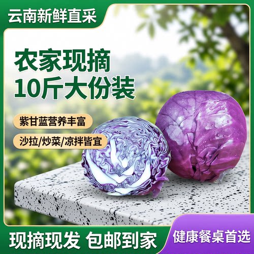 云南新鲜蔬菜紫甘蓝10斤