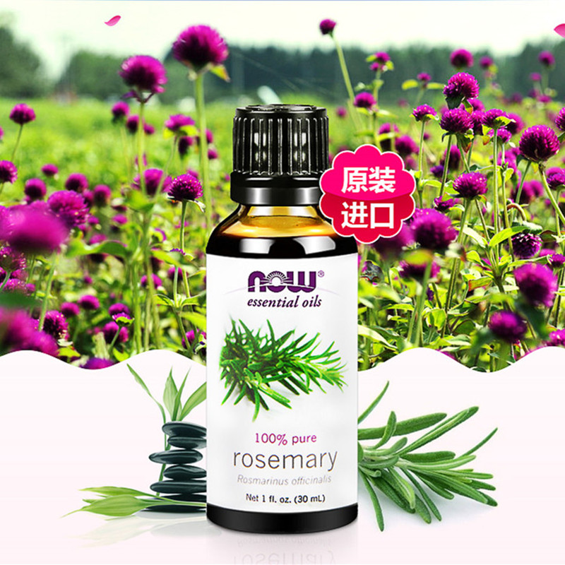 迷迭香精油的功效与作用