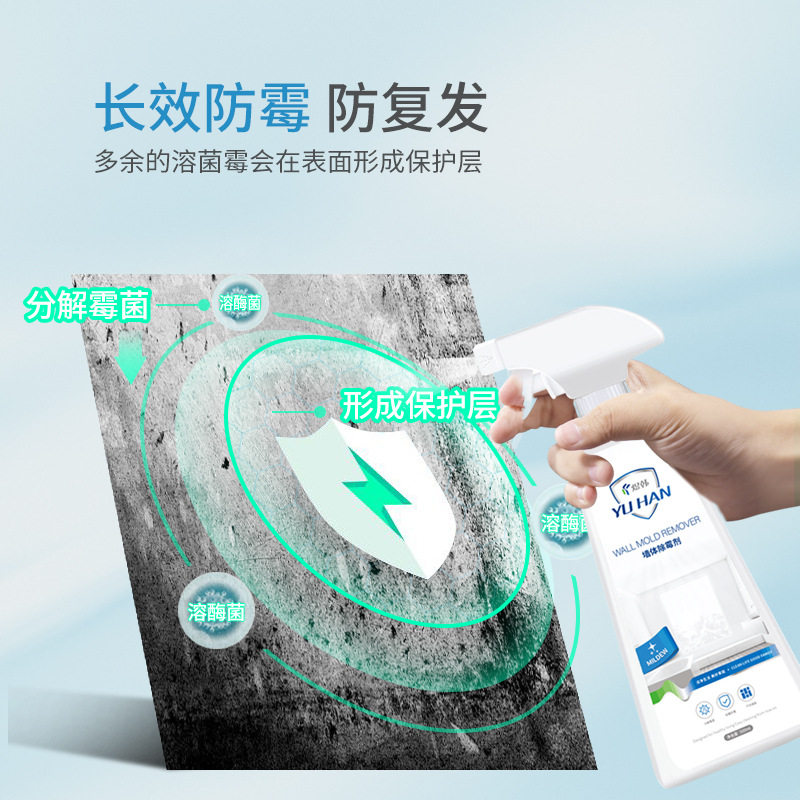 白墙体除霉剂墙面发霉去霉斑霉菌