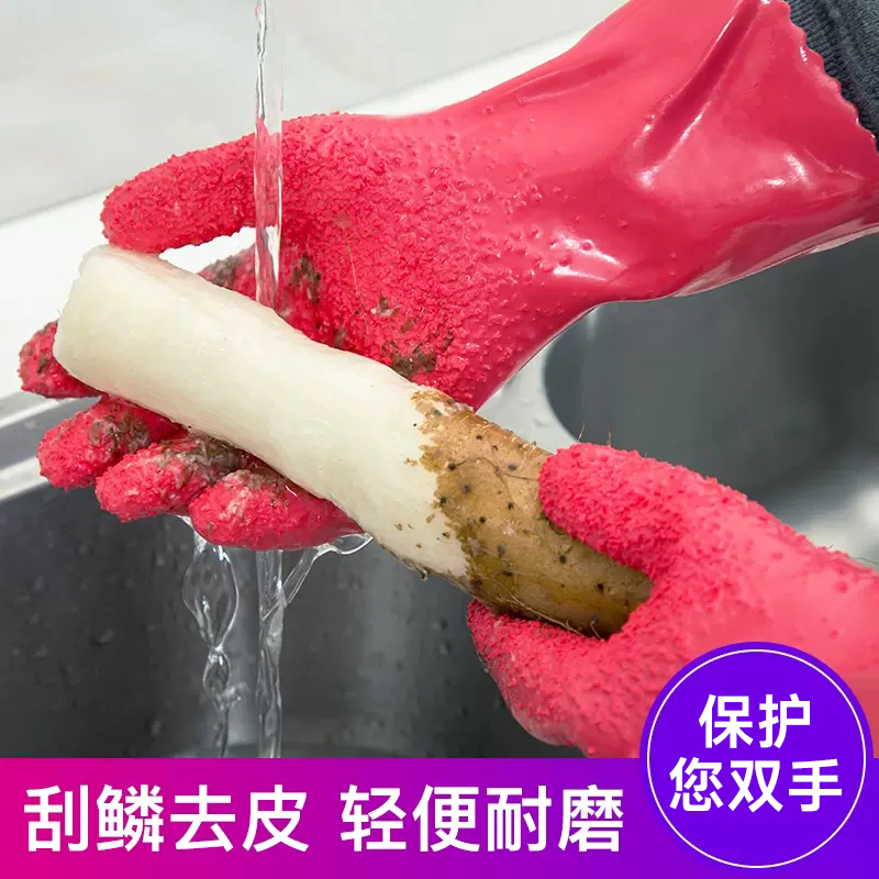 日本pocket神奇厨房土豆山药芋头