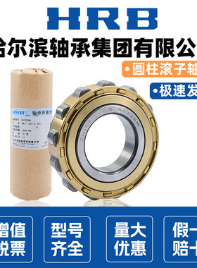 HRB哈尔滨轴承减速机RN 304 305 306 307 308 309 310 311 312 M