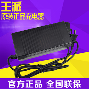 王派电动车原装智能充电器48V12Ah60V20Ah72V正品原厂专用断电DZM