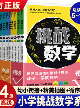 挑战数学初级中级高级全套教辅