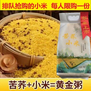 山东苦荞小米新米黄小米米粥苦荞小米粥月子粥米油厚五谷杂粮5斤