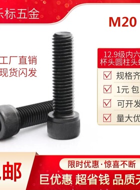 12.9级内六角杯头圆柱头螺丝高强度螺钉 M20*30/35/40/45/50~200