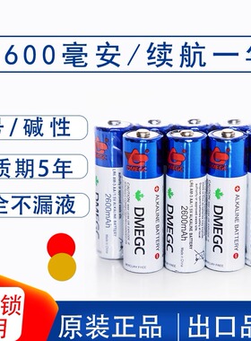 5号DMEGC密码指纹锁电池专用血压计智能电子锁三星小米燃气表门锁