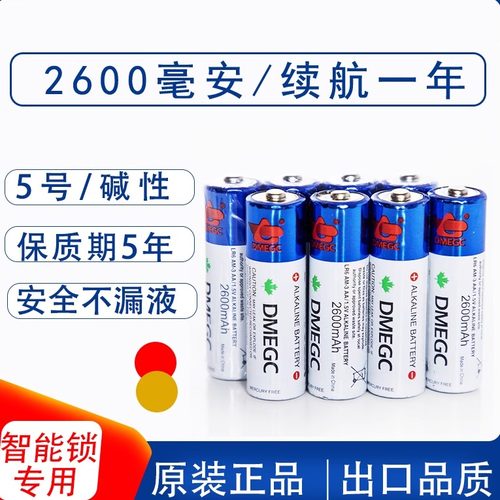 Dmegc电池5号2600毫安
