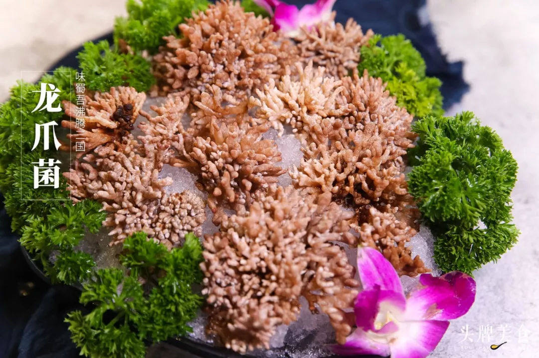 优质龙爪菌,包邮500g是40.8元,味道鲜美,是你做美食不错的选择