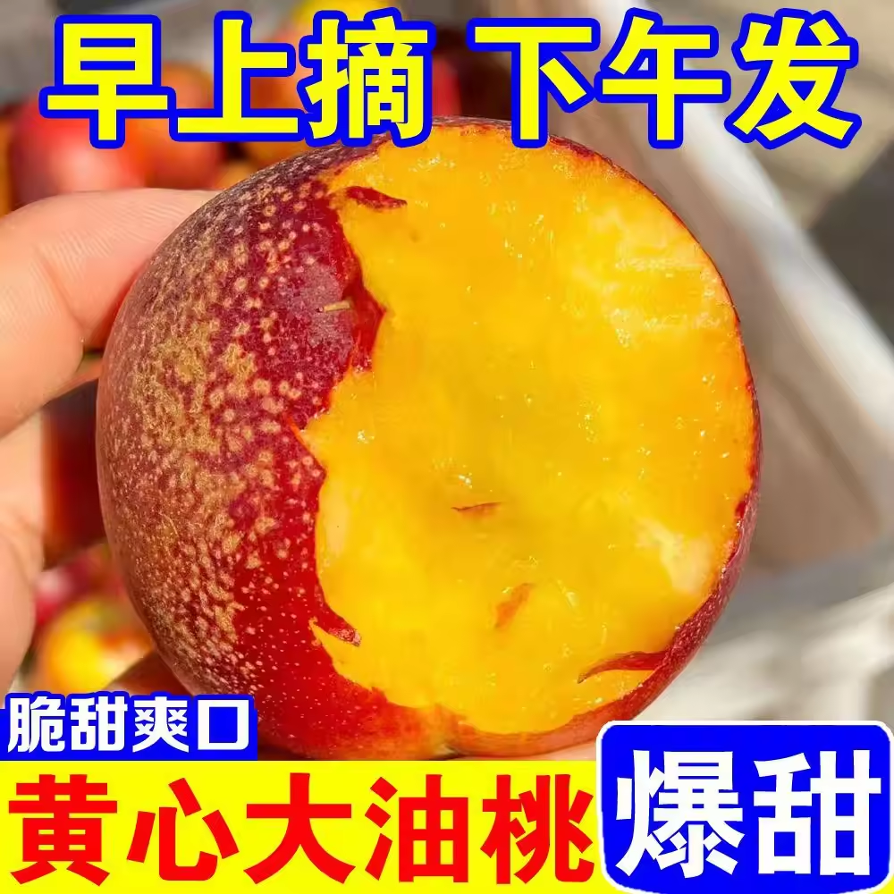 新鲜陕西脆甜油桃纯甜无酸黄肉黄心应季现摘现发整箱包邮精品果4J