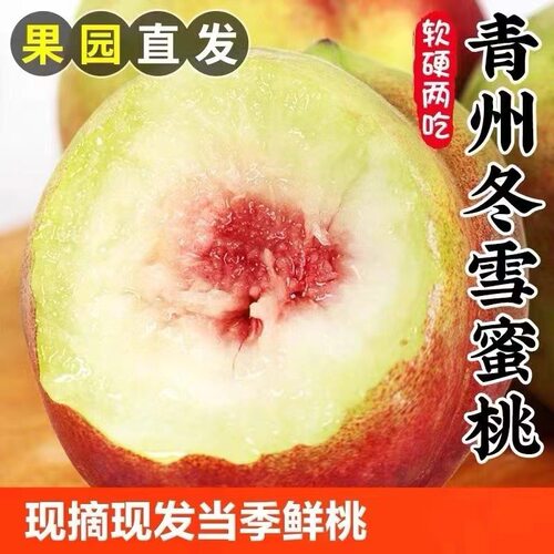 大果水蜜桃新鲜水果离核当季现摘毛桃子脆甜现摘现发特级爆甜精品